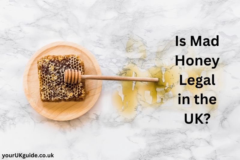 Where to Buy Mad Honey in the UK—And Is It Even Legal?